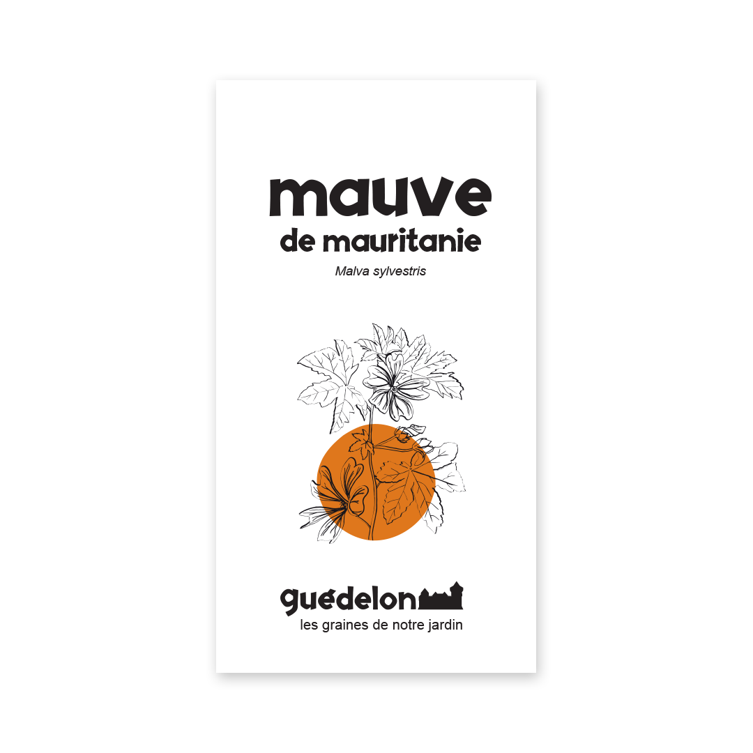 graines de mauve de mauritanie