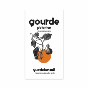 graines de gourde pèlerine