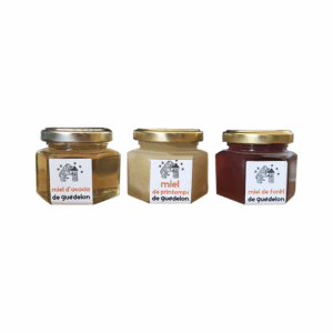 Guédelon honey selection: acacia, spring and forest honey